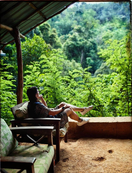 Chalet in the Jungle