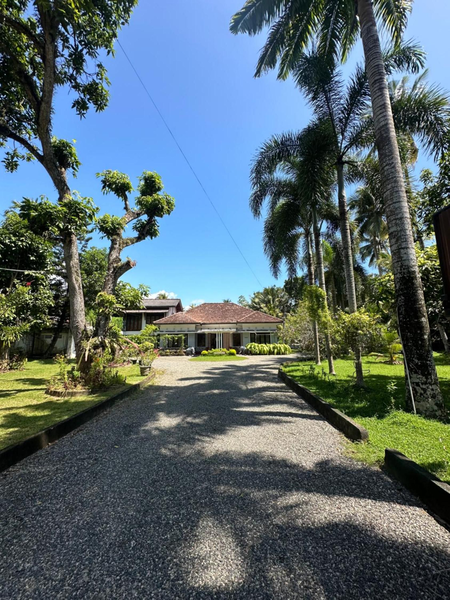 Mango Tree Villa