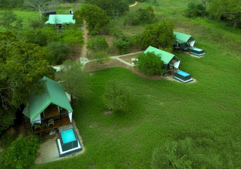 VerdEra Wild - Wilpattu