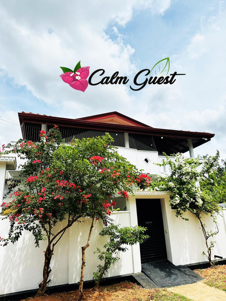 Calm Guest