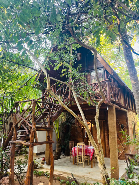 Sigiri Lodge Tree House