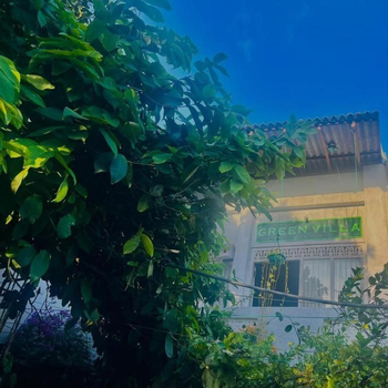 Green Villa - Hotel exterior or room view