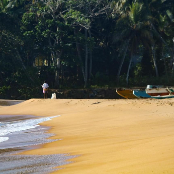 Beach Raised Guest House - Hotel exterior or room view