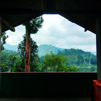 Hushwood Family House - Hotel exterior or room view