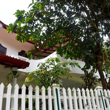 Ellagama Village Bungalow - Hotel exterior or room view