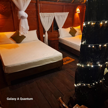 Green leaf Tree house - Hotel exterior or room view