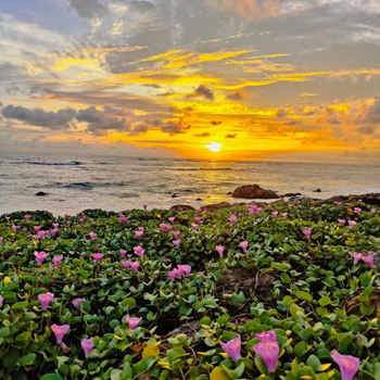 All Day Ahangama - Hotel exterior or room view