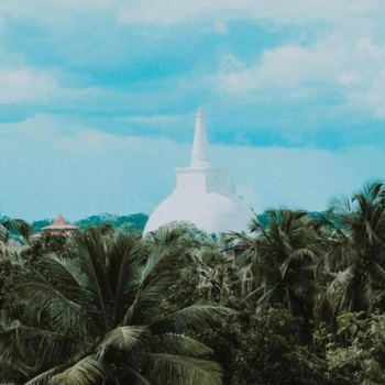 Ambula Food Court - Hotel exterior or room view