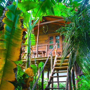 Kolon Resort Sigiriya - Hotel exterior or room view