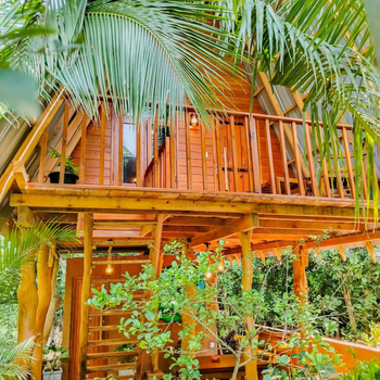 Sigiriya Eco Tree House - Hotel exterior or room view