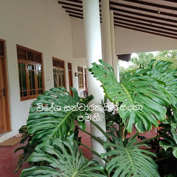 Ruins Villa - Hotel exterior or room view