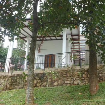 Lavender Hills Home Stay - Hotel exterior or room view