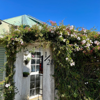Medalin Harmony Nest - Hotel exterior or room view