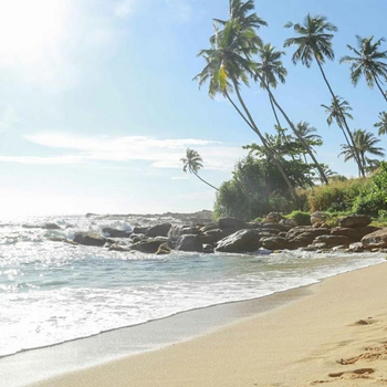 Bluewind Resort - Hotel exterior or room view