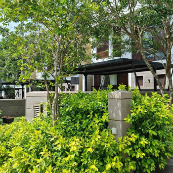 Still Waters - A Cottage by the Lake! - Hotel exterior or room view