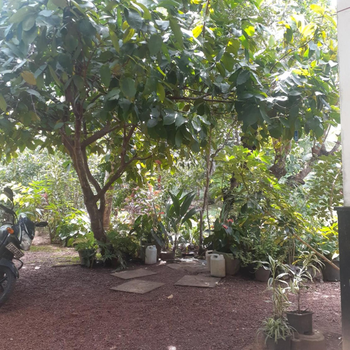 Villa Kosgoda - Hotel exterior or room view