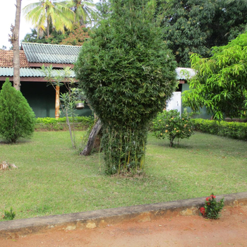Peacock Lake Villa - Hotel exterior or room view