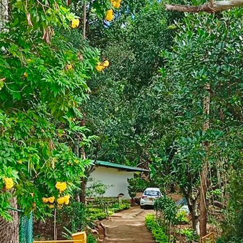 Serenity at Natures Nest - Entire Home - Hotel exterior or room view