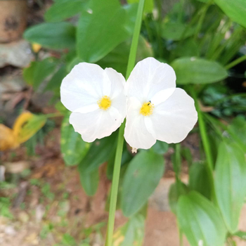 Nk Hotel - Hotel exterior or room view