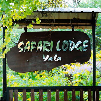Safari Lodge Yala - Hotel exterior or room view