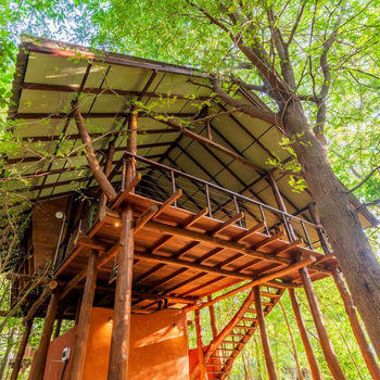 Kaala Kalaththewa Luxury Eco Resort - Hotel exterior or room view