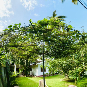 Sanithu Homestay and villa Galle - Hotel exterior or room view