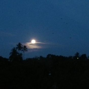 Riverside Suites - Hotel exterior or room view