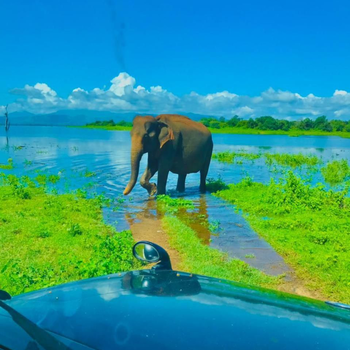 The Beauty Of Udawalawa - Hotel exterior or room view