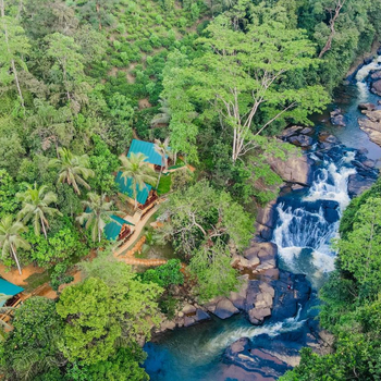 The Rainforest Hideaway - Hotel exterior or room view
