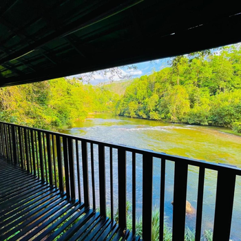 The Magical Tree House - Hotel exterior or room view