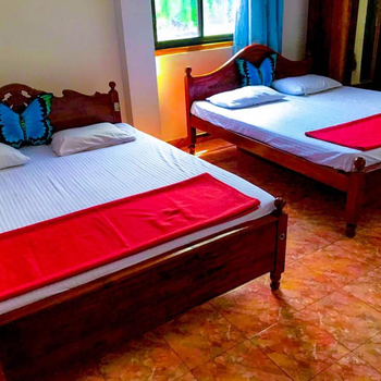 Geesh Residence : Rooms in Jaffna - Hotel exterior or room view