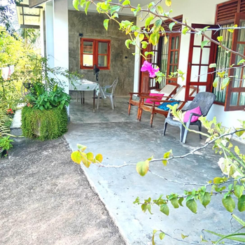 new blue lotus - Hotel exterior or room view