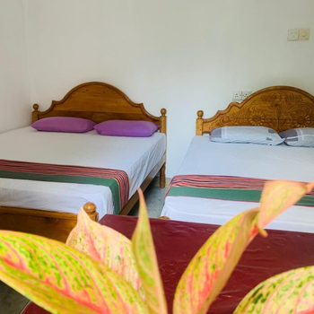 Gal Oya Lake View Inginiyagala - Hotel exterior or room view