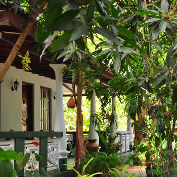 Sigiri Rock Side Home Stay - Hotel exterior or room view