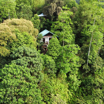 Sinharaja Rest - Hotel exterior or room view