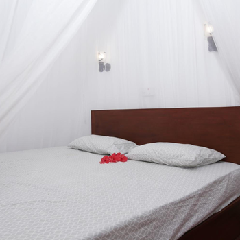 Vivid Lanka - Hotel exterior or room view