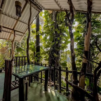 Secret Mountain Paradise - Hotel exterior or room view