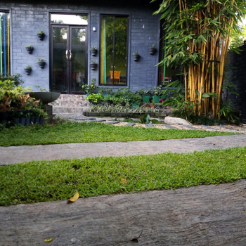 Mango Roots - Hotel exterior or room view