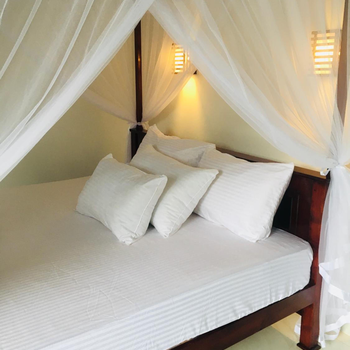 Anthony Guesthouse - Hotel exterior or room view