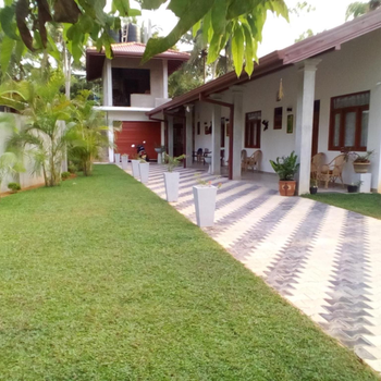 Orchid Dream - Hotel exterior or room view