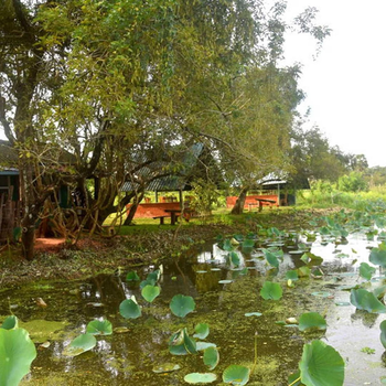 Meegahapokuna Resort - Hotel exterior or room view