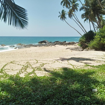 Sun & Sea 365 Balapitiya - Hotel exterior or room view