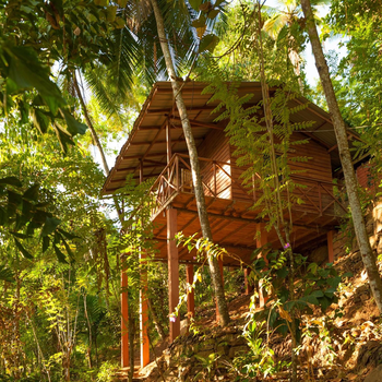 Polwaththa Eco Lodges - Hotel exterior or room view