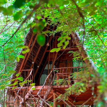 Habarana Tree House Ambasewana Resort - Hotel exterior or room view