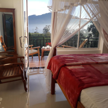 Lilly Guest Inn - Hotel exterior or room view