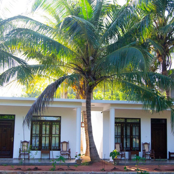 Shady mango villa - Hotel exterior or room view