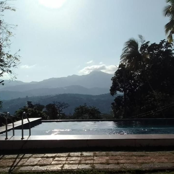 Paradise Forest Garden - Hotel exterior or room view