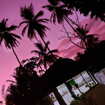Wine Tree Garden Guesthouse - Hotel exterior or room view