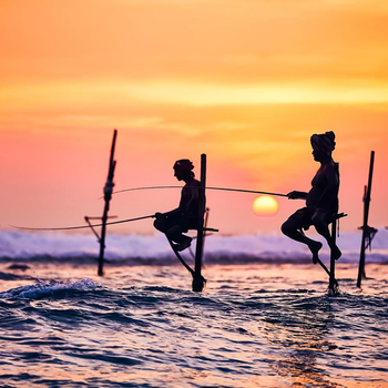 Villa Paradise Ocean - Hotel exterior or room view