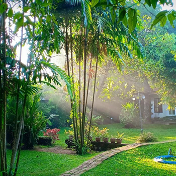 Mango House Japanese Guest House - Hotel exterior or room view